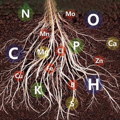 1+1 Free | Plant Nutrient Solution